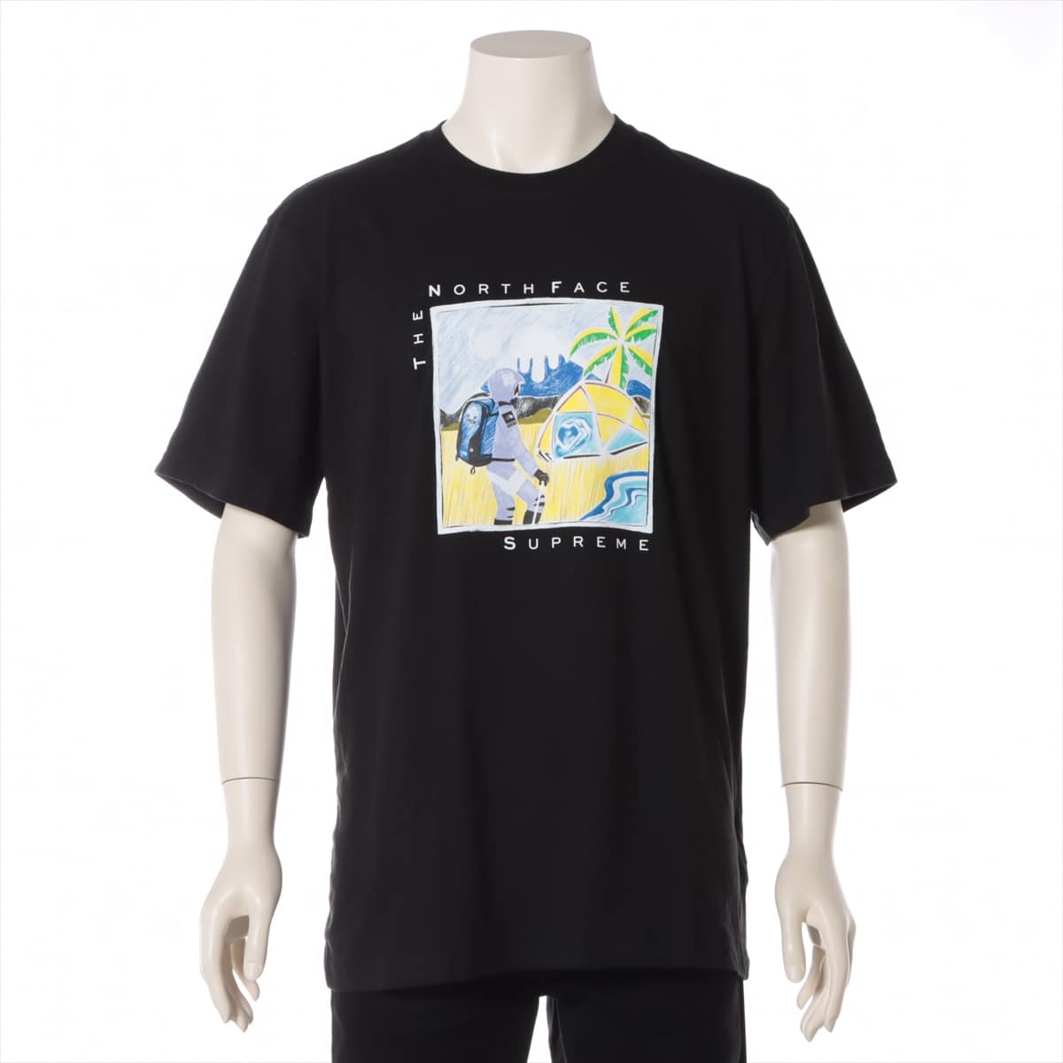 シュプリーム×ノースフェイス 22SS コットン Tシャツ L メンズ ブラック  NT02203I Sketch S/S TEE