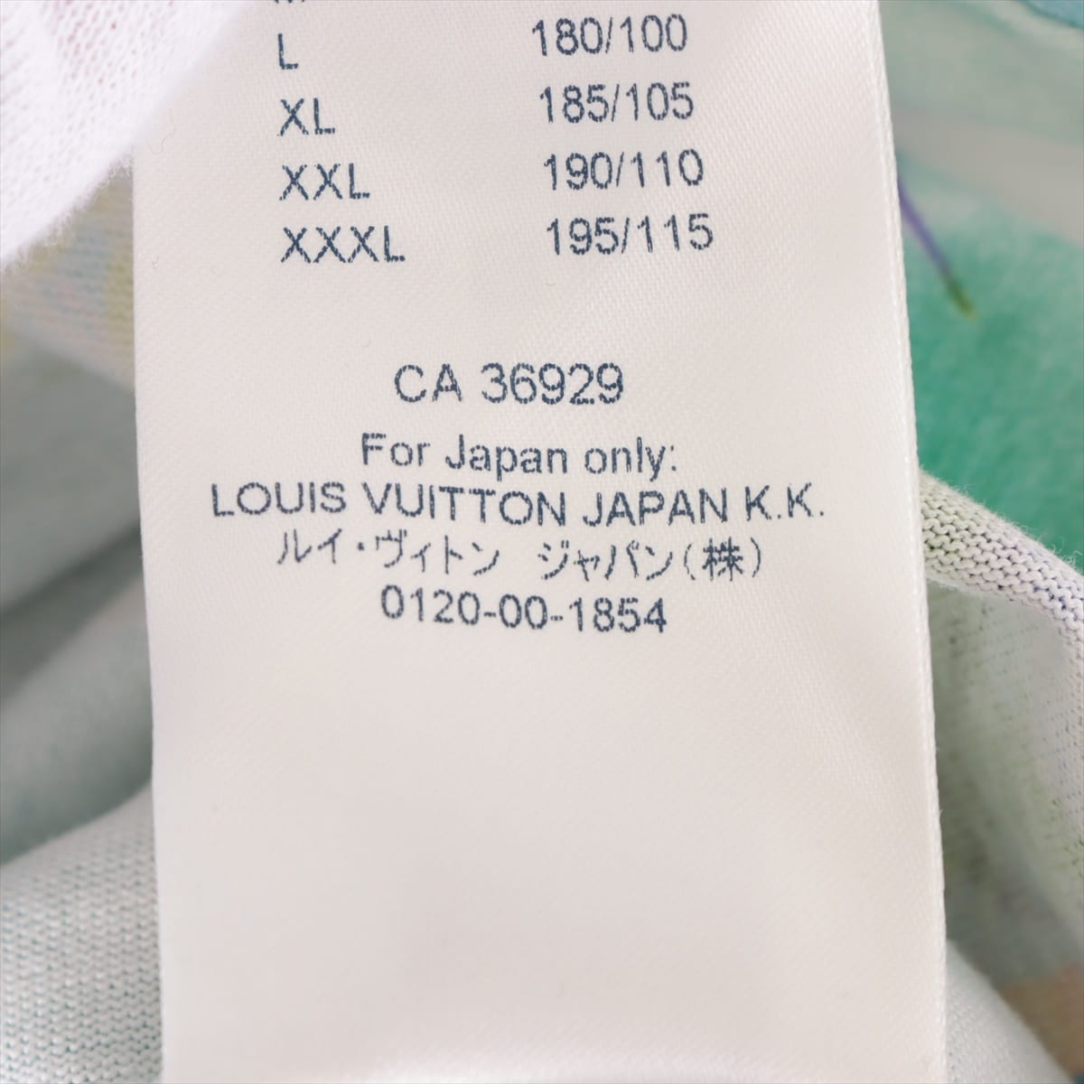 ルイヴィトン 20SS コットン Tシャツ M メンズ マルチカラー  RM201 刺繍フローラル エンブロイダリープリント