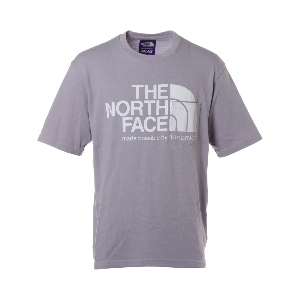 PALACE THE NORTH FACE Tシャツ