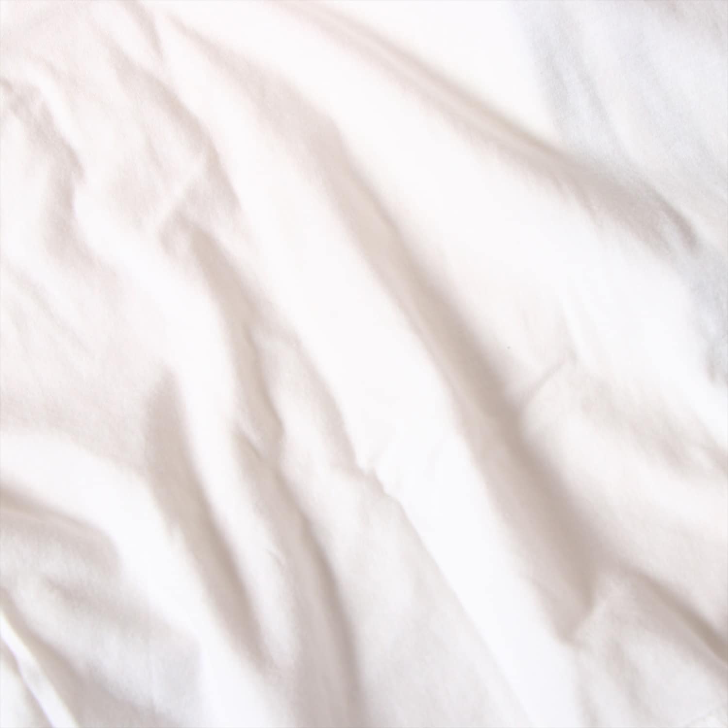 ワイスリー コットン Tシャツ M メンズ ホワイト 19SS SIGNATURE GRAPHIC